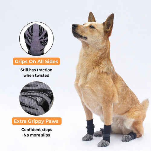 Anti-Slip Socks – Stability and Comfort for Your Dog