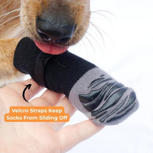 Anti-Slip Socks – Stability and Comfort for Your Dog