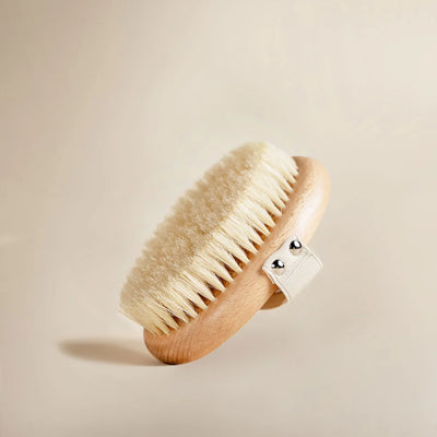 Orvitta Firming Brush